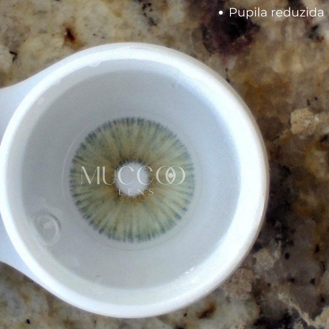 Angeles N Cinza pupila reduzida anual (caixa com 2 unidades)