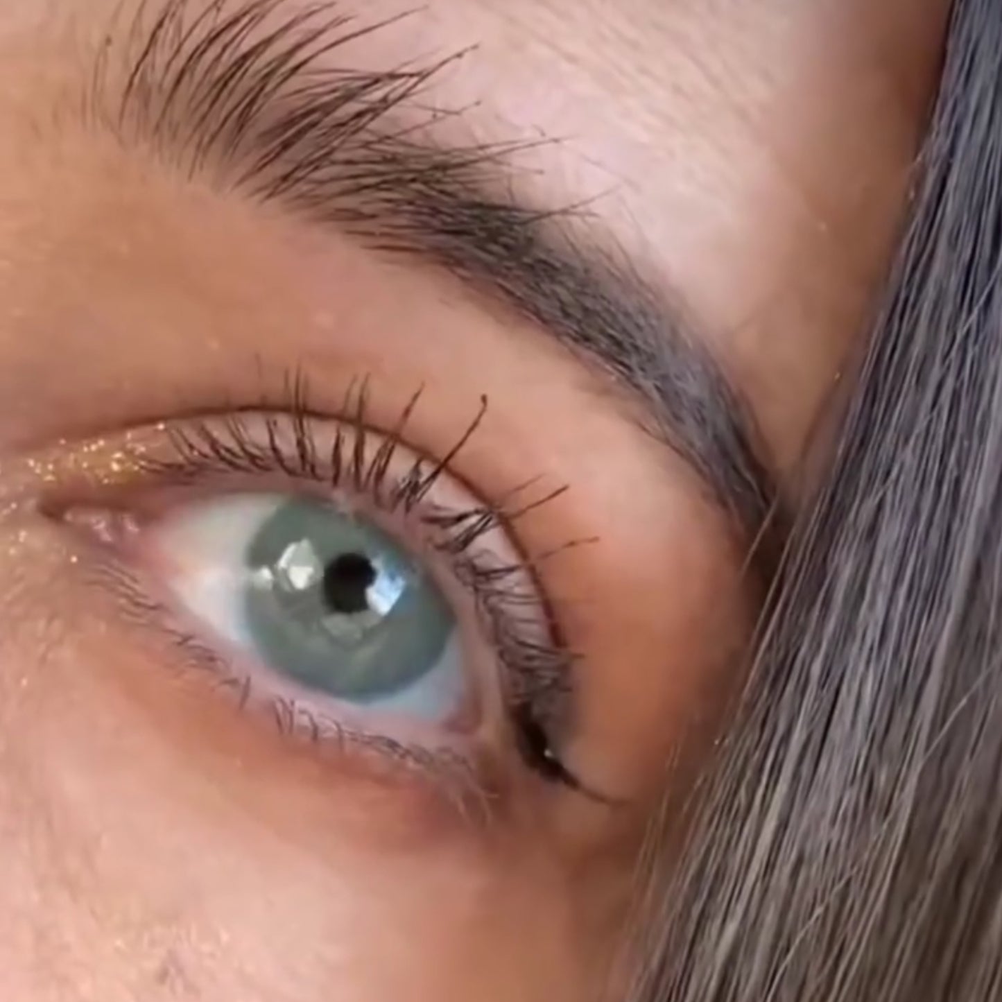 Anual pupila reduzida Angeles N Azul (caixa com 2 unidades)