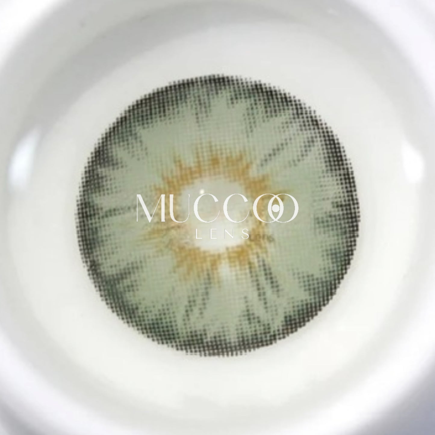 Lente de contato anual Siri Green (caixa com 2 unidades)