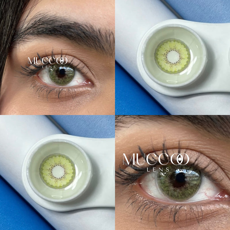 Lente de contato anual com grau para miopia Ellegant Verde (caixa com 2 unidades)