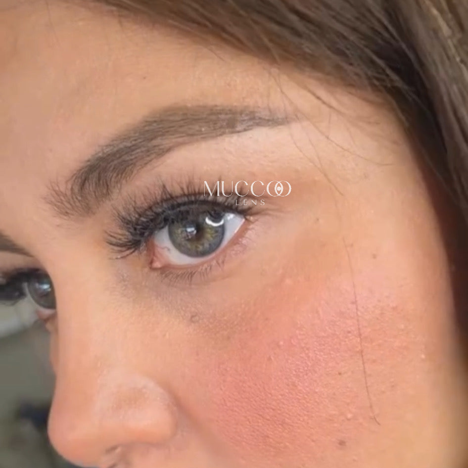 Luminous Cinza Anual (caixa com 2 unidades)