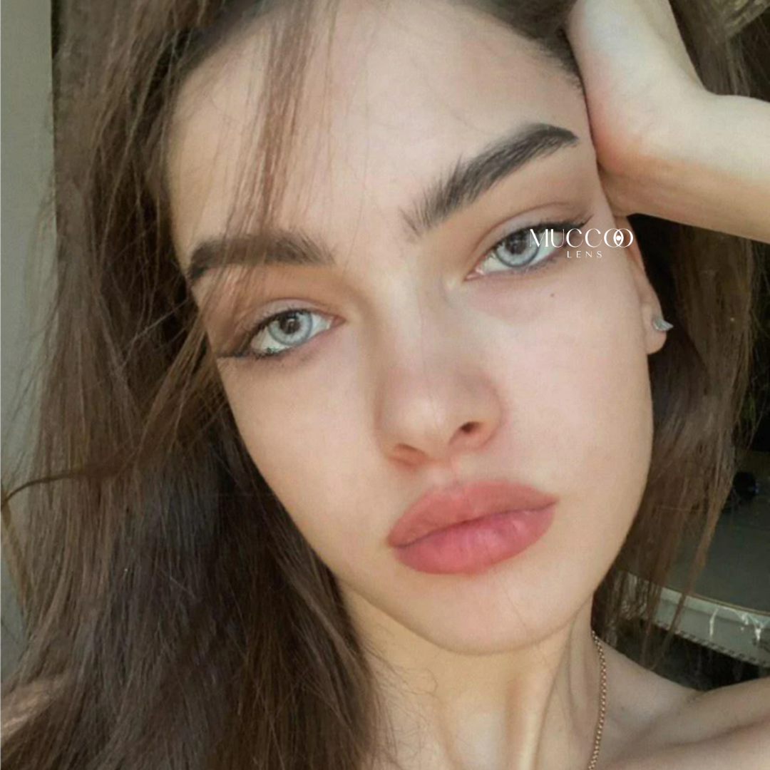 Anual Sofia Cinza (caixa com 2 unidades)
