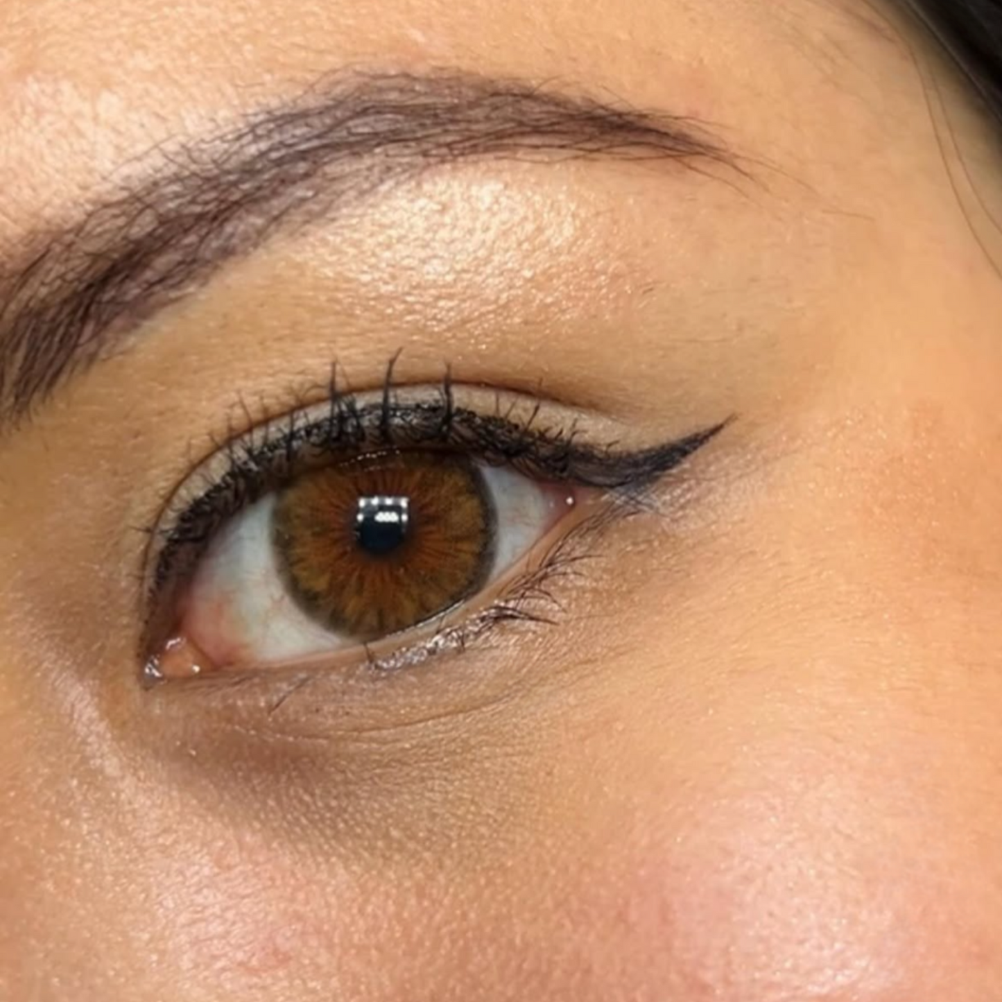 Cleópatra Hazel (Avelã) pupila reduzida anual (caixa com 2 unidades)