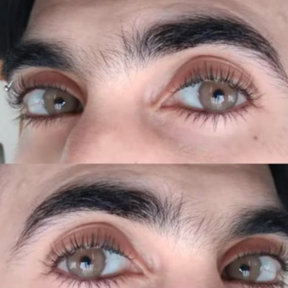 Anual pupila reduzida Angeles N Castanho (caixa com 2 unidades)