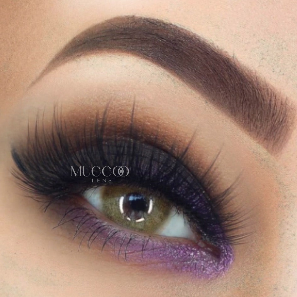 Anual Cloud Castanho (caixa com 2 unidades)