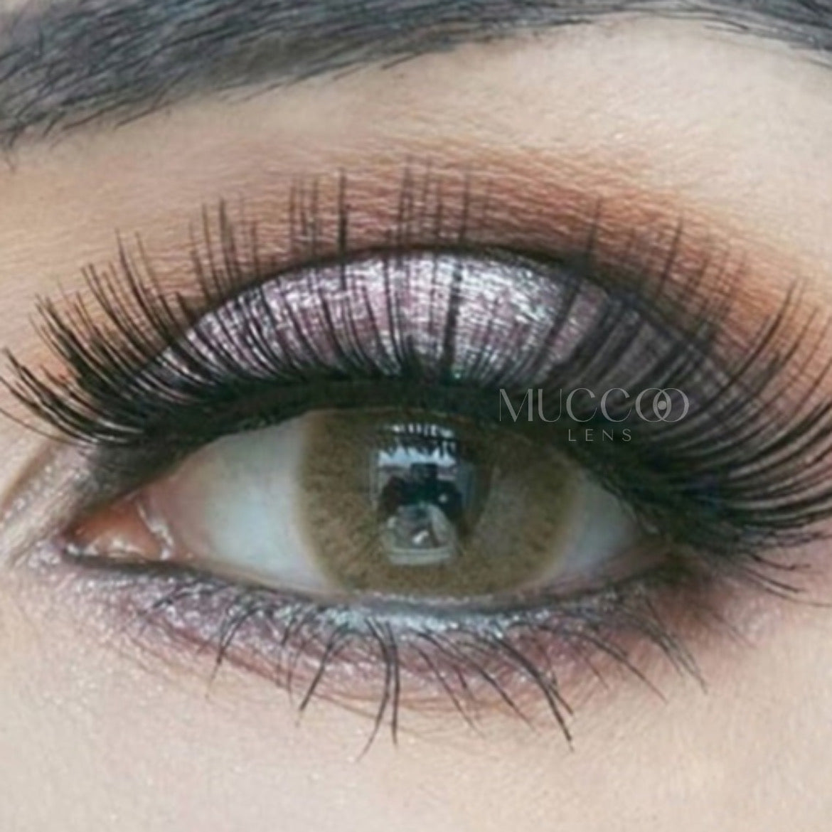 Anual Cloud Castanho (caixa com 2 unidades)