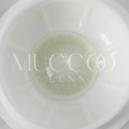 Tórica Hidrocor Búzios (1 peça)