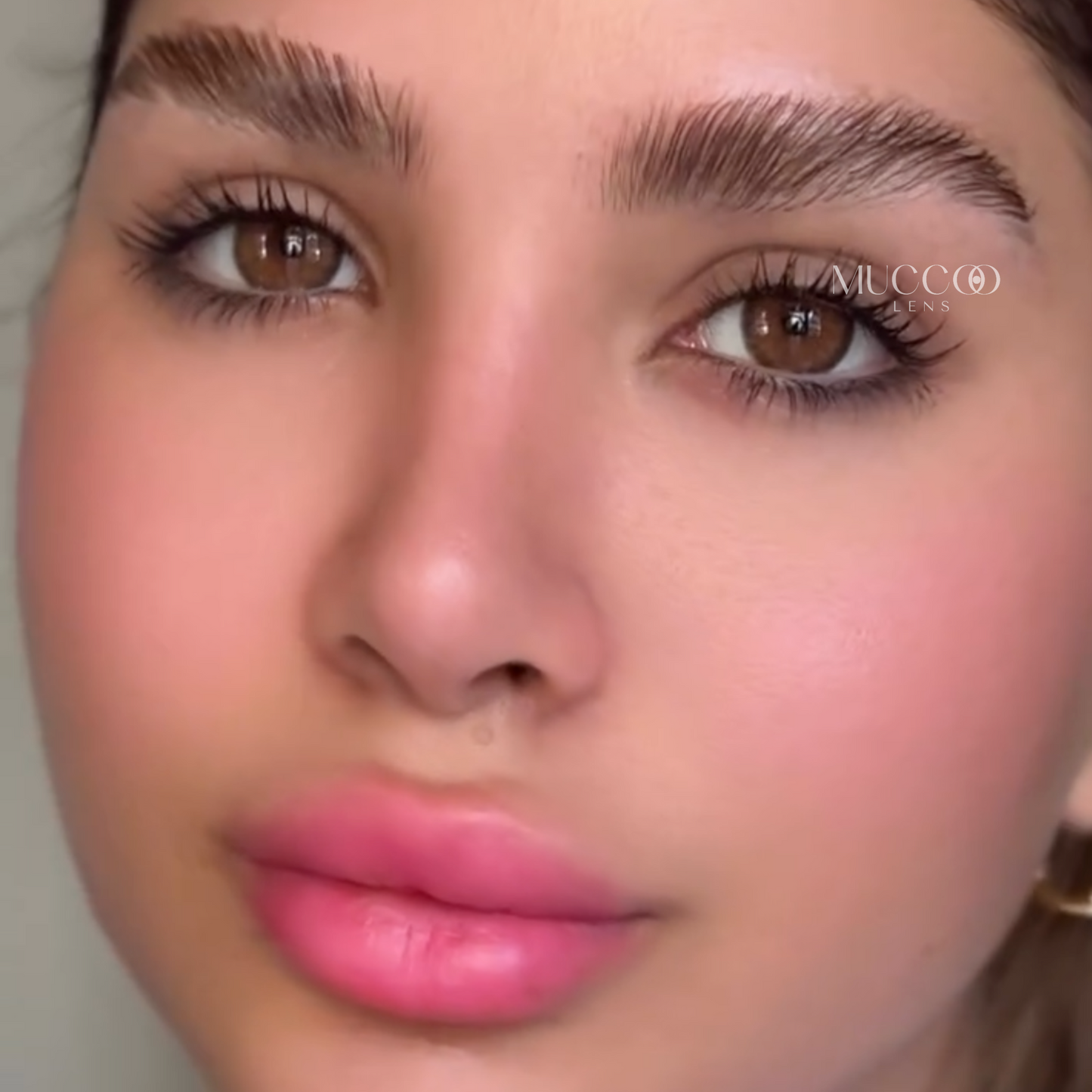 Cleópatra Hazel (Avelã) pupila reduzida anual (caixa com 2 unidades)