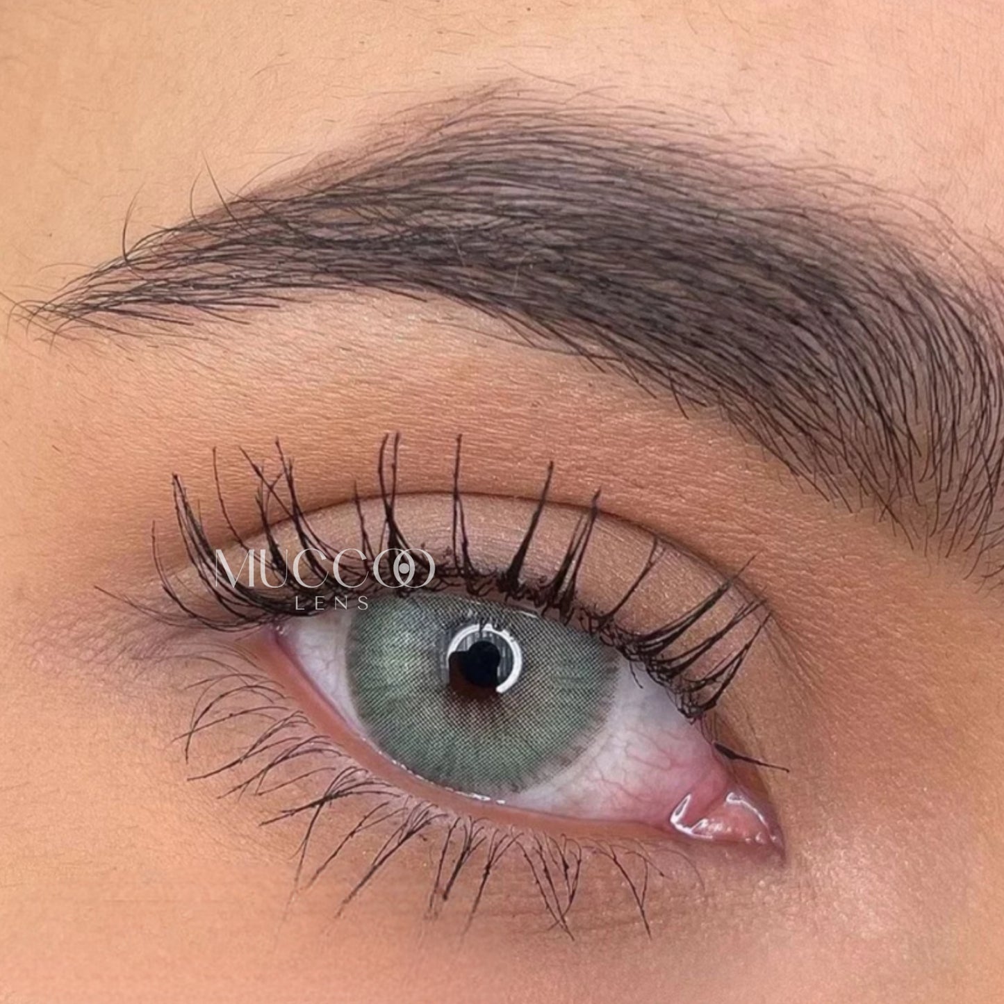 Anual pupila reduzida Gogh N Cinza (caixa com 2 unidades)