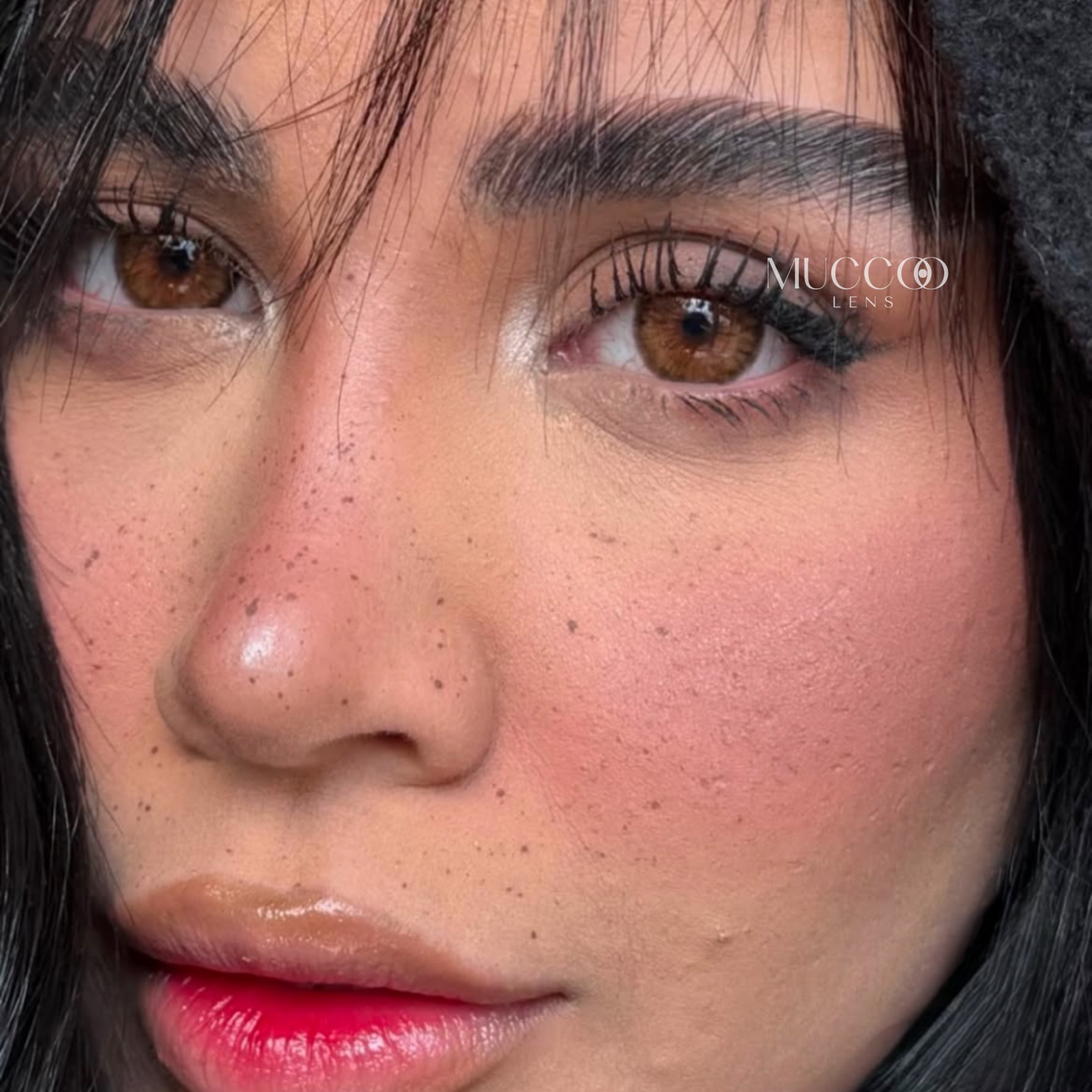 Cleópatra Hazel (Avelã) pupila reduzida anual (caixa com 2 unidades)