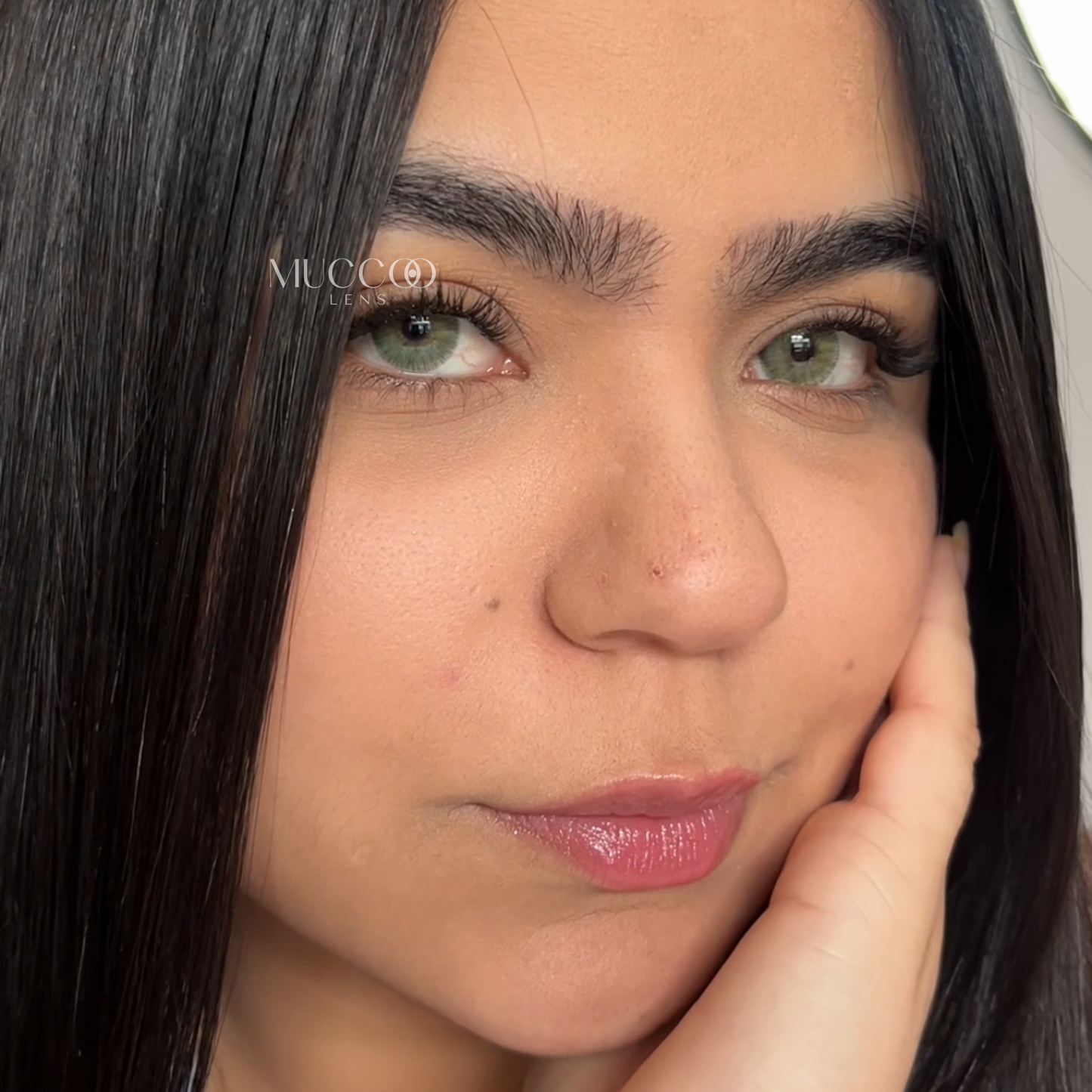 Angeles N Cinza pupila reduzida anual (caixa com 2 unidades)