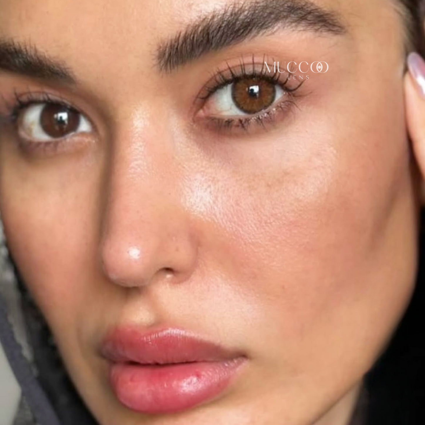 Cleópatra Hazel (Avelã) pupila reduzida anual (caixa com 2 unidades)