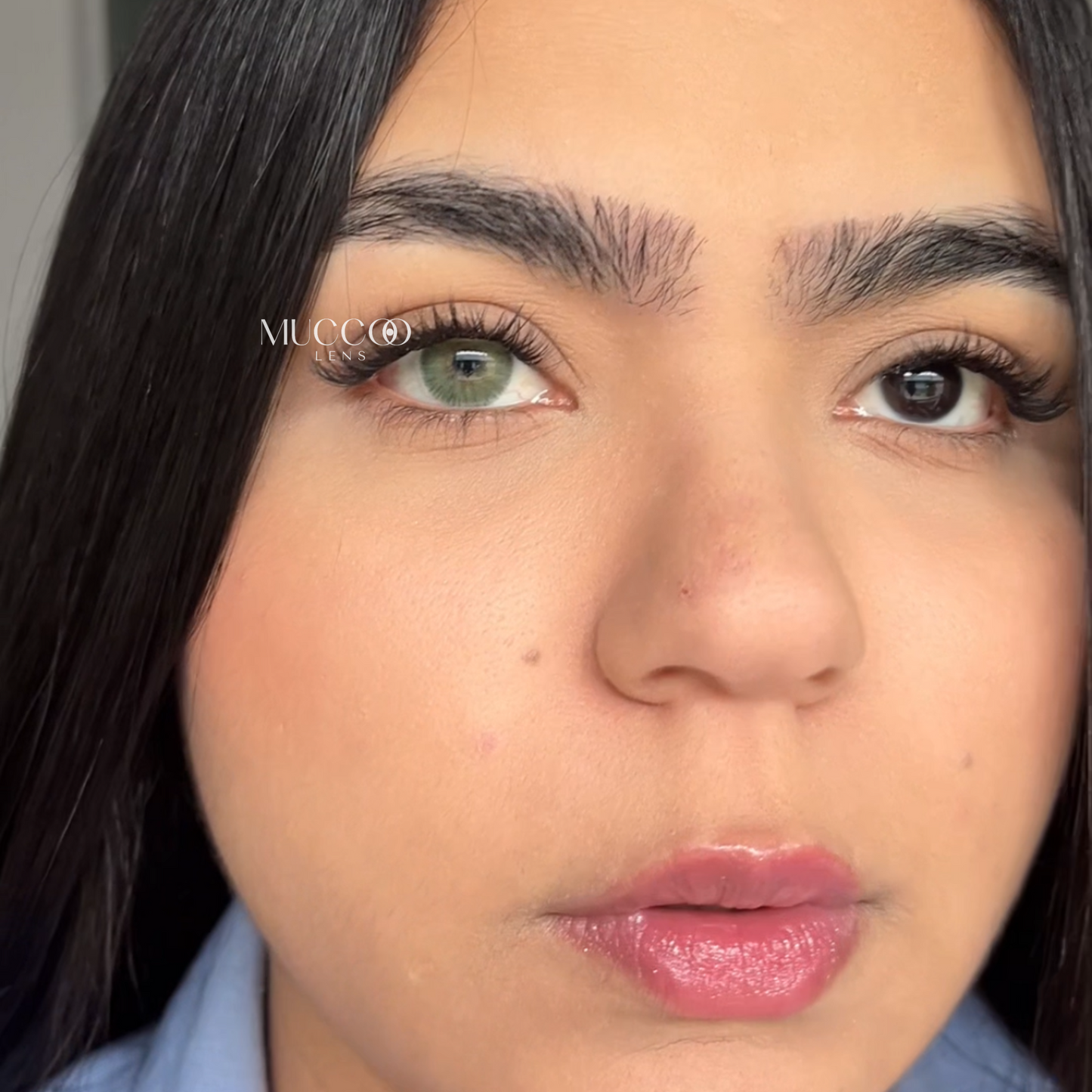 Angeles N Cinza pupila reduzida anual (caixa com 2 unidades)