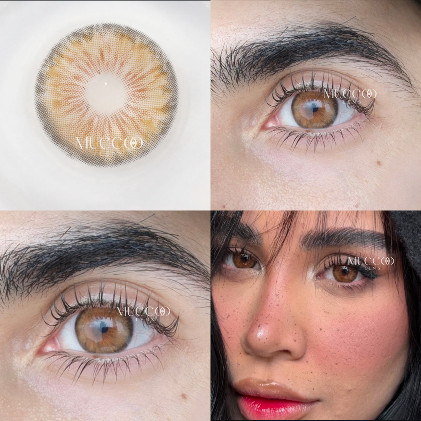 Cleópatra Hazel (Avelã) pupila reduzida anual (caixa com 2 unidades)