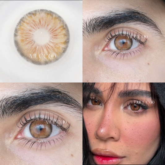 Cleópatra Hazel (Avelã) pupila reduzida anual (caixa com 2 unidades)