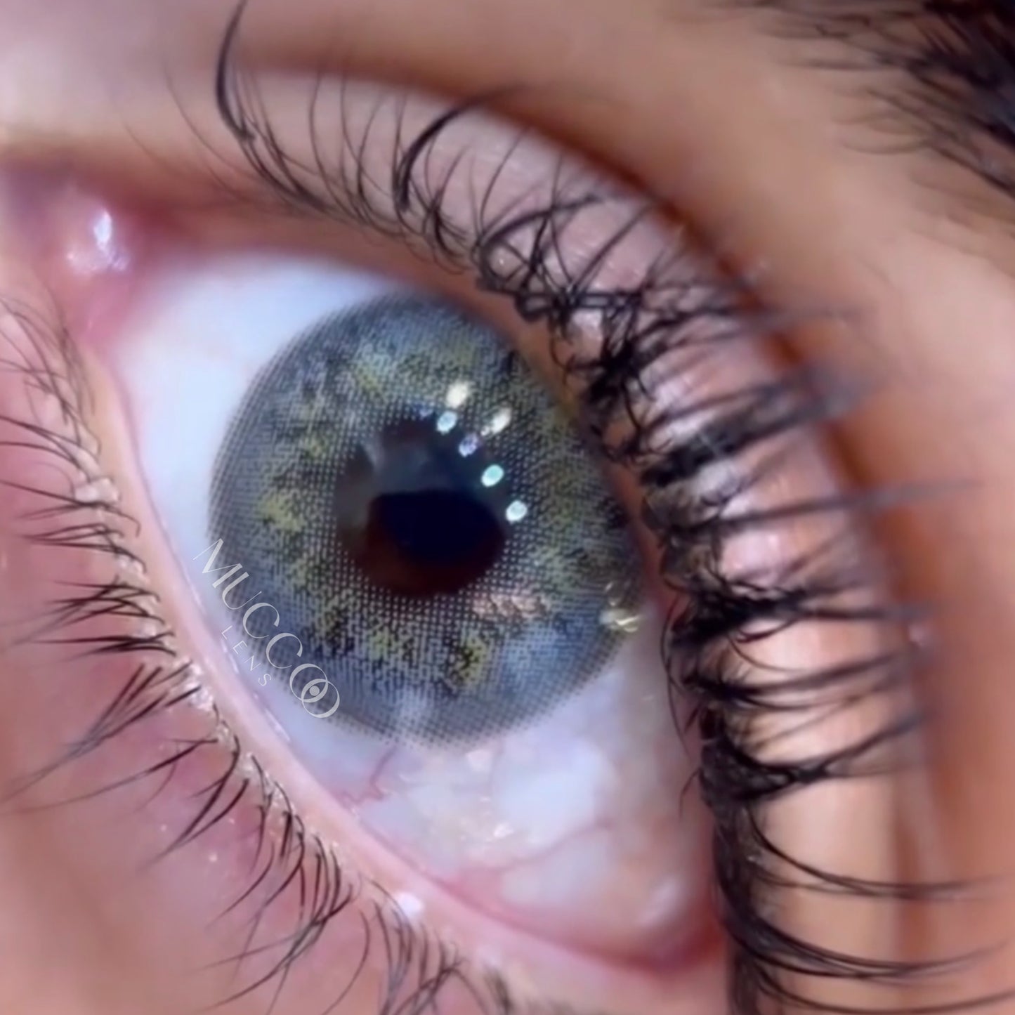 Luminous Cinza Anual (caixa com 2 unidades)