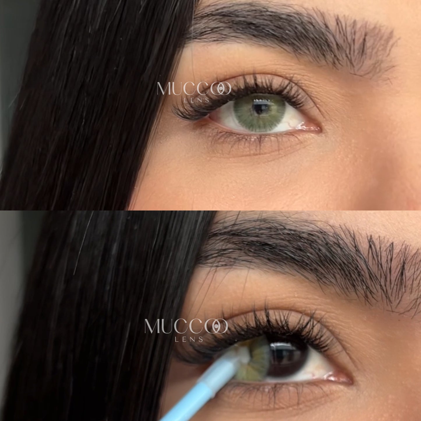 Angeles N Cinza pupila reduzida anual (caixa com 2 unidades)