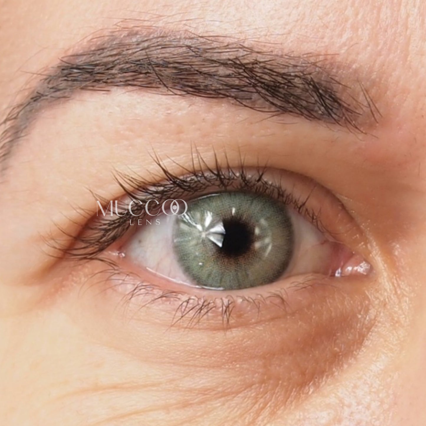 Anual pupila reduzida Gogh N Cinza (caixa com 2 unidades)