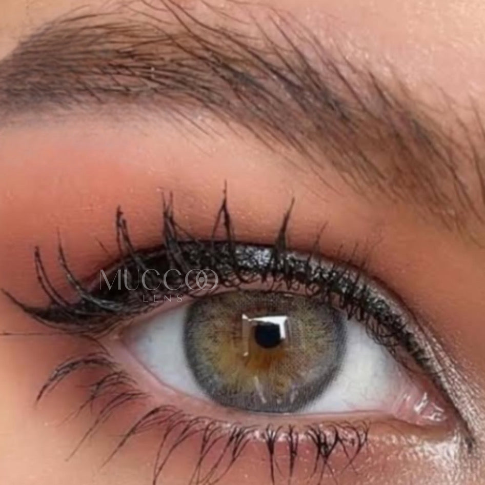 Luminous Cinza Anual (caixa com 2 unidades)