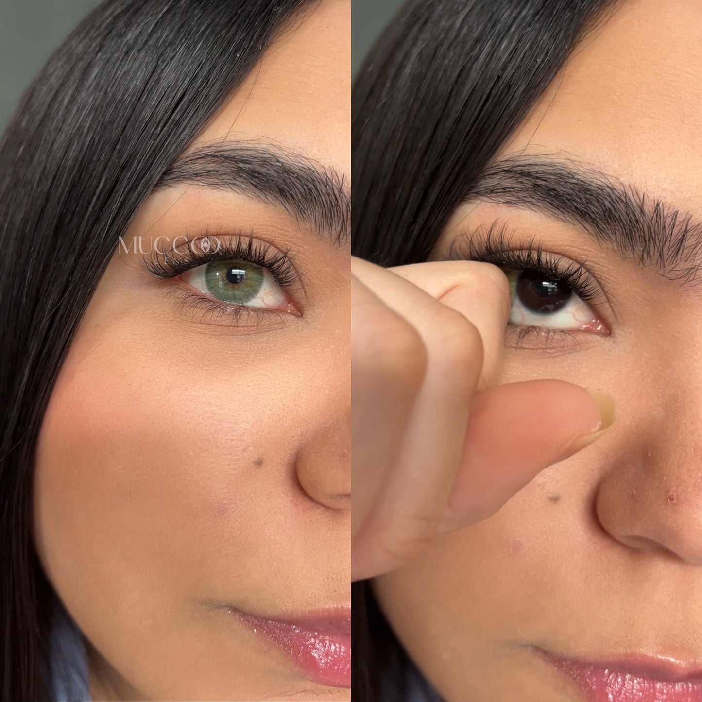 Angeles N Cinza pupila reduzida anual (caixa com 2 unidades)