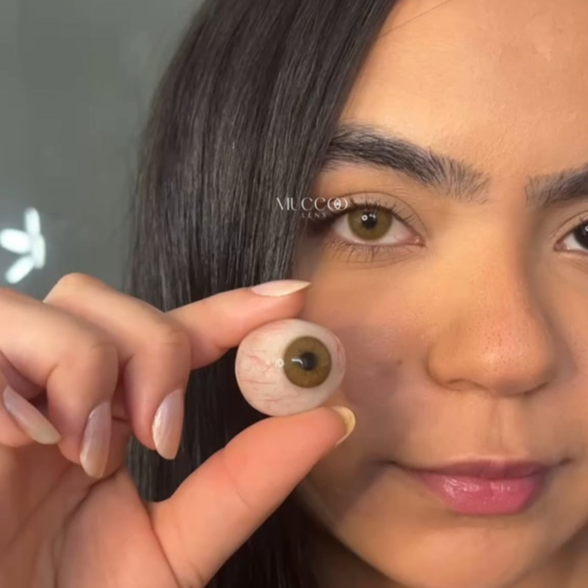 Anual Cloud Castanho (caixa com 2 unidades)