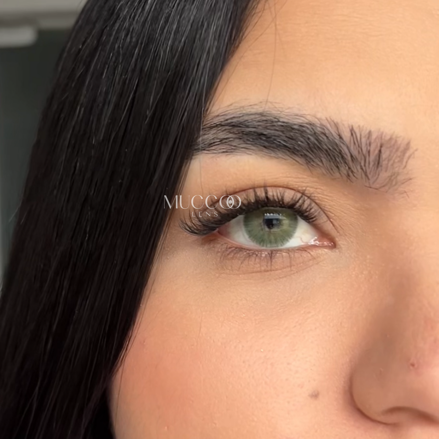 Angeles N Cinza pupila reduzida anual (caixa com 2 unidades)