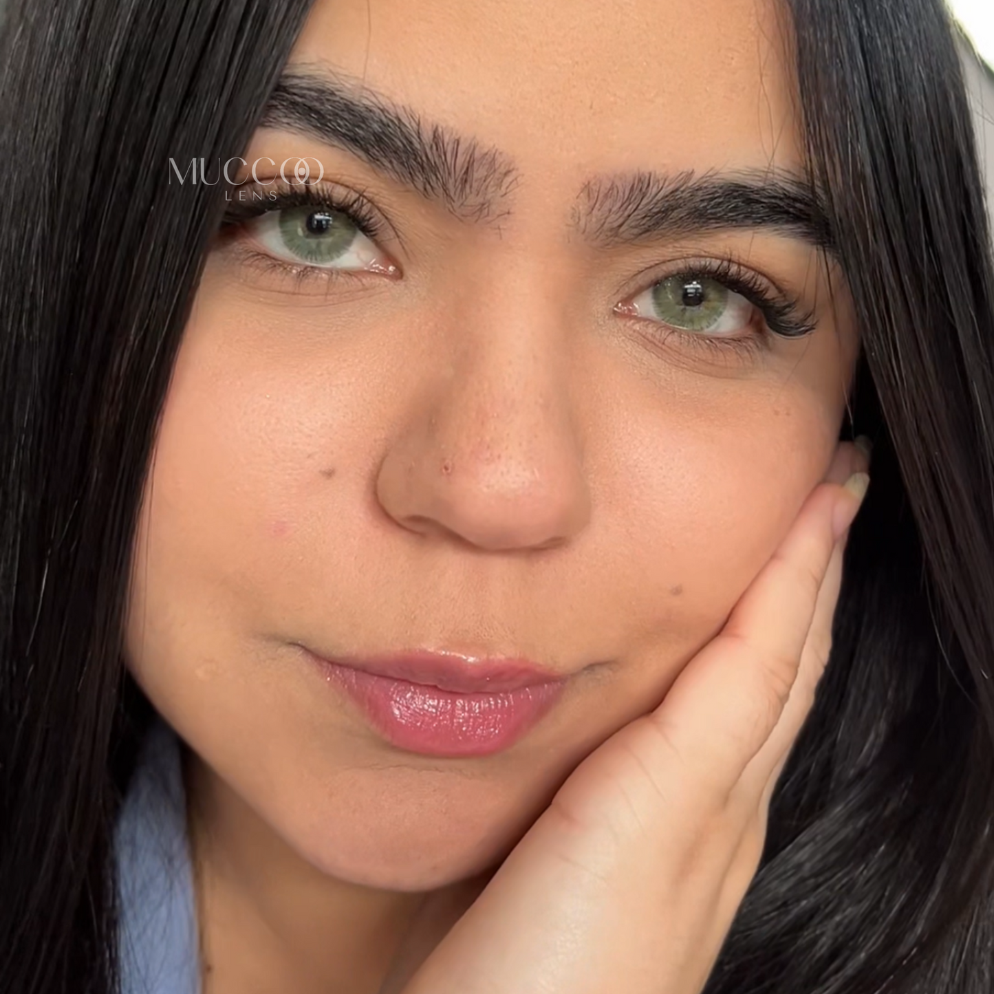 Angeles N Cinza pupila reduzida anual (caixa com 2 unidades)