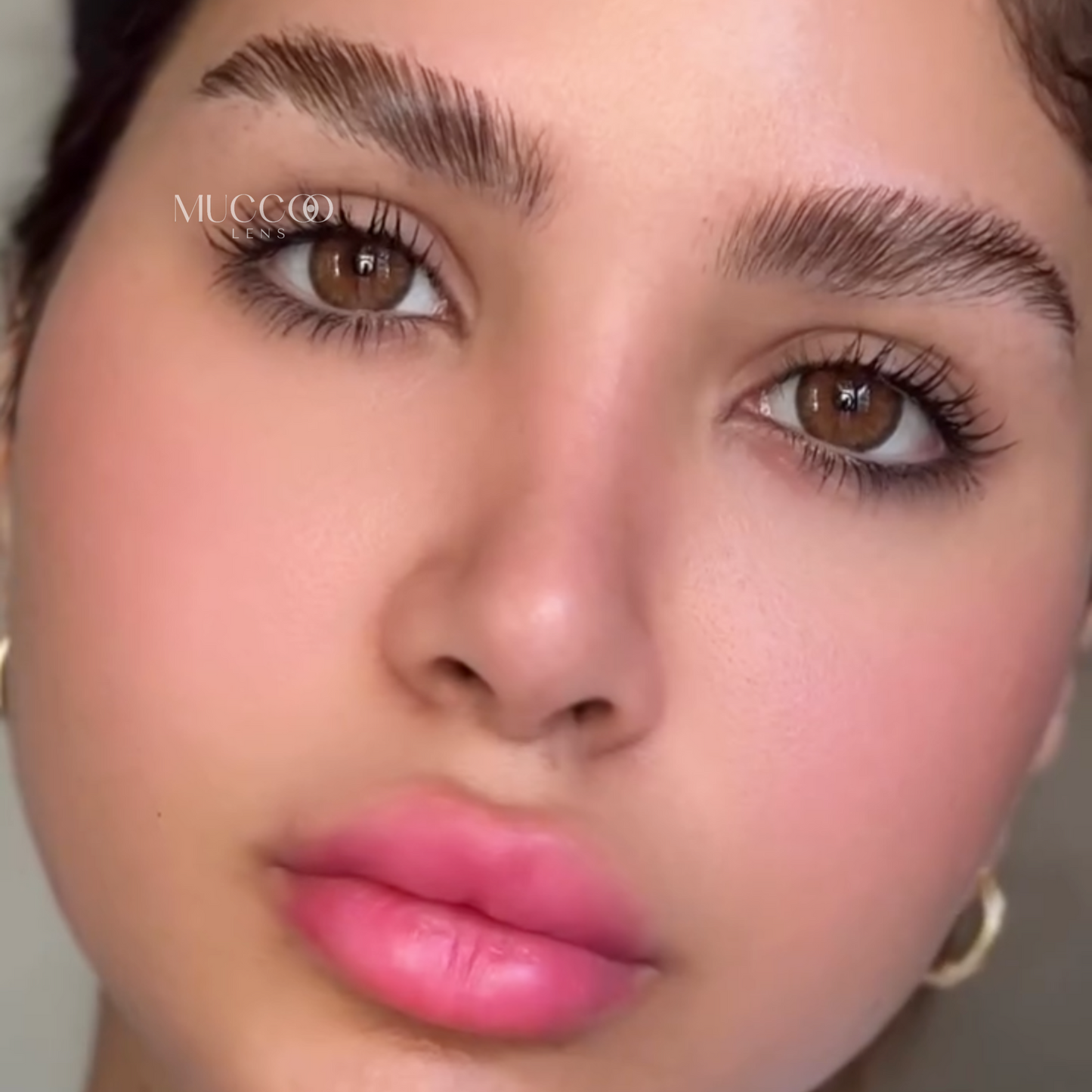 Cleópatra Hazel (Avelã) pupila reduzida anual (caixa com 2 unidades)