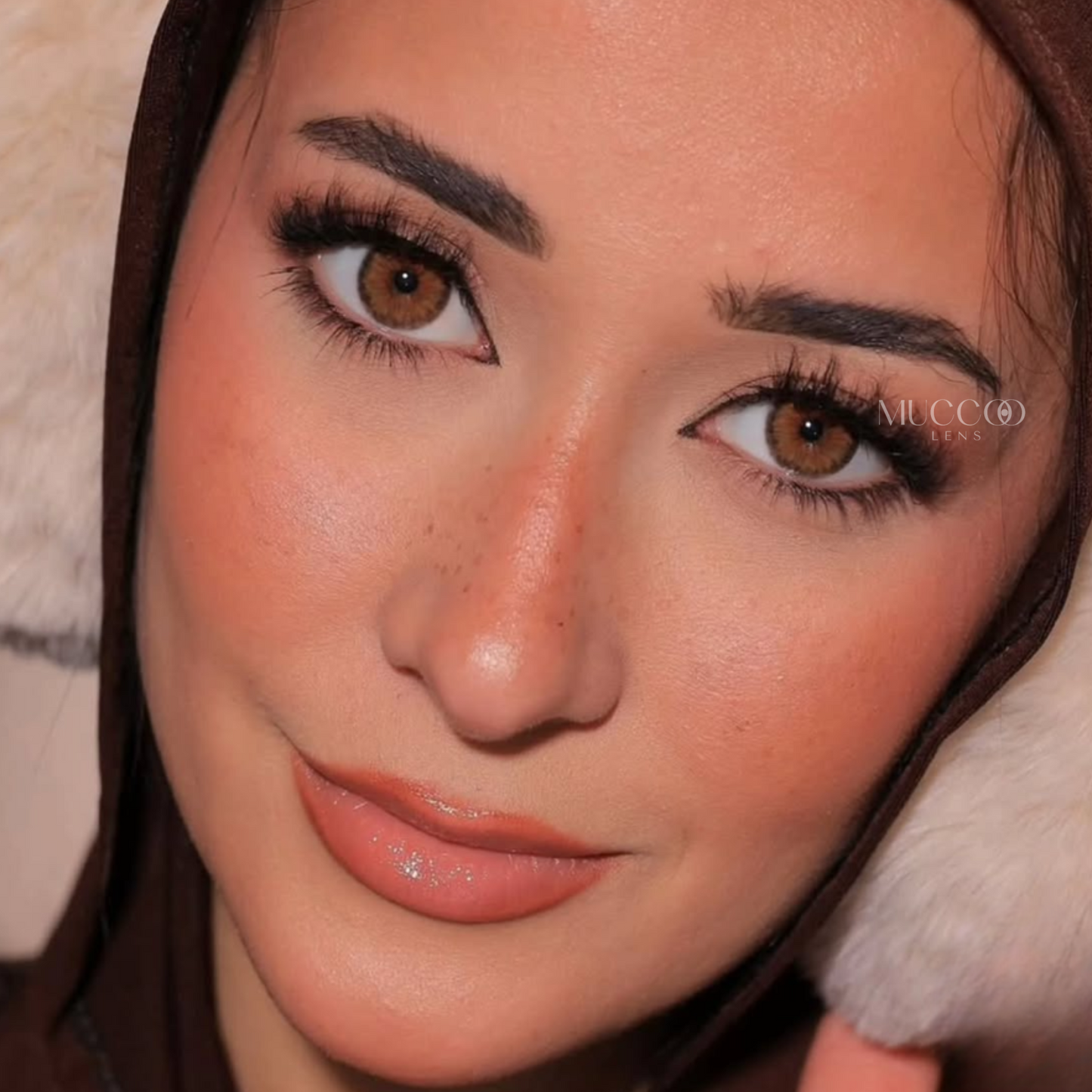 Cleópatra Hazel (Avelã) pupila reduzida anual (caixa com 2 unidades)