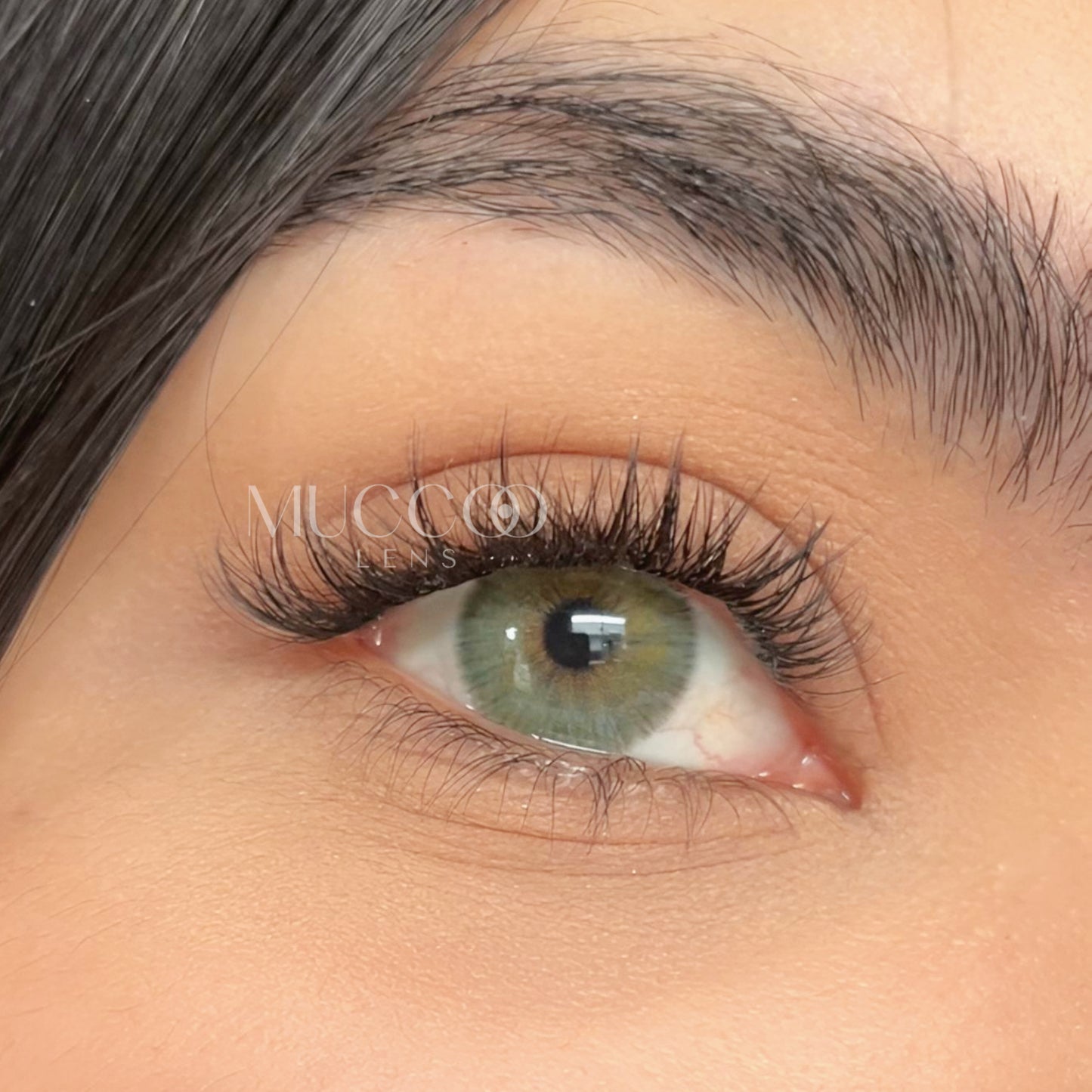 Angeles N Cinza pupila reduzida anual (caixa com 2 unidades)