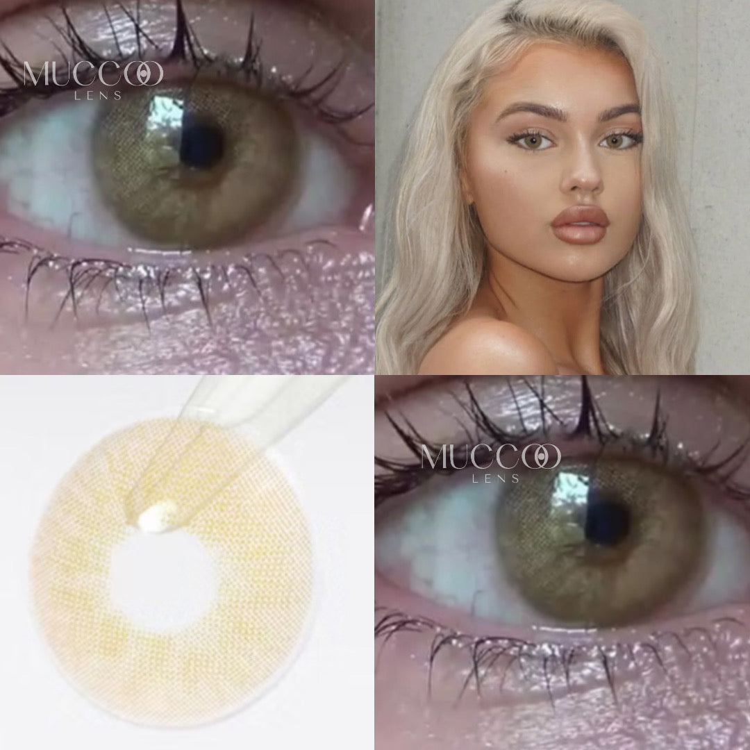 Anual Cloud Castanho (caixa com 2 unidades)