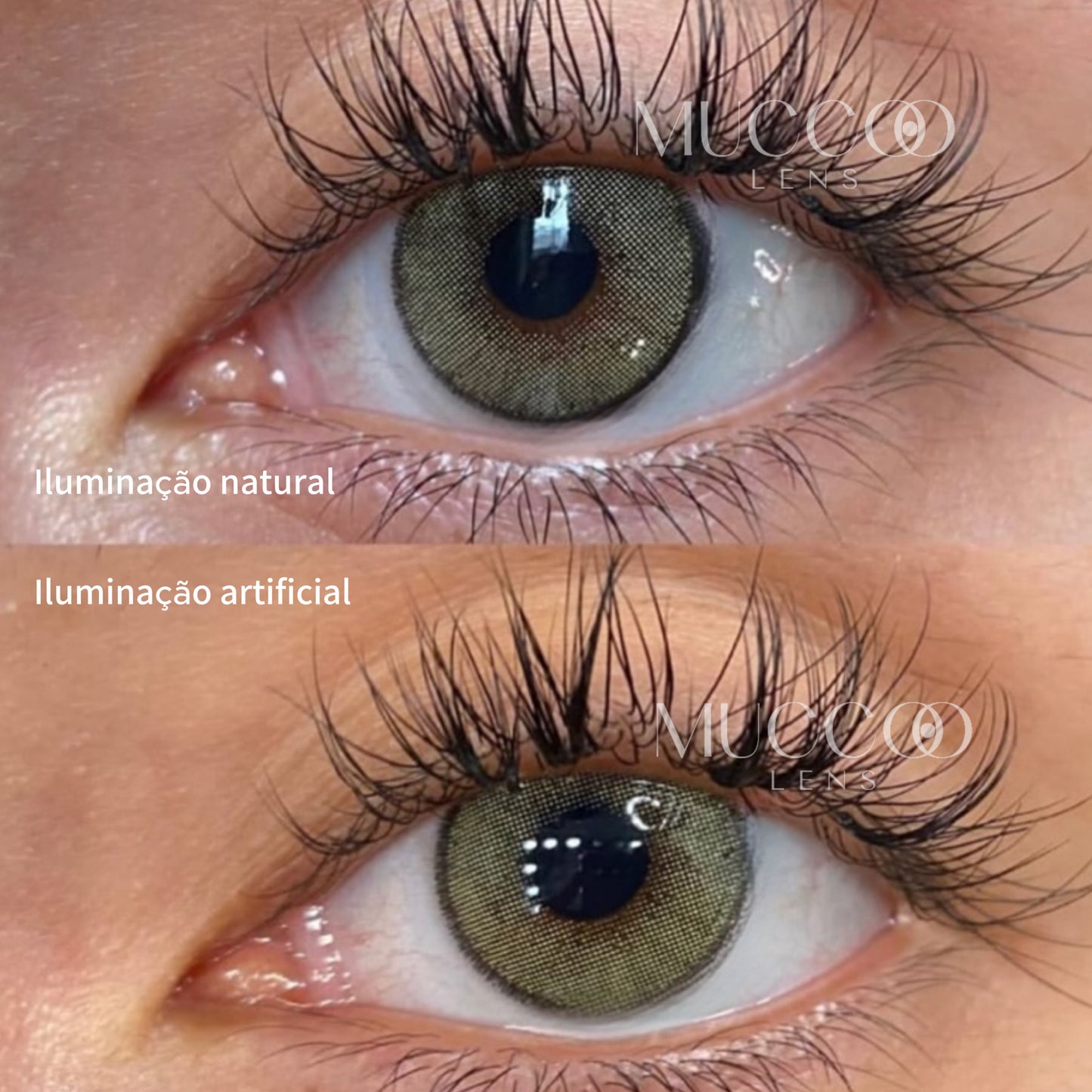 Anual Natural Colors Mel (caixa com 2 unidades)