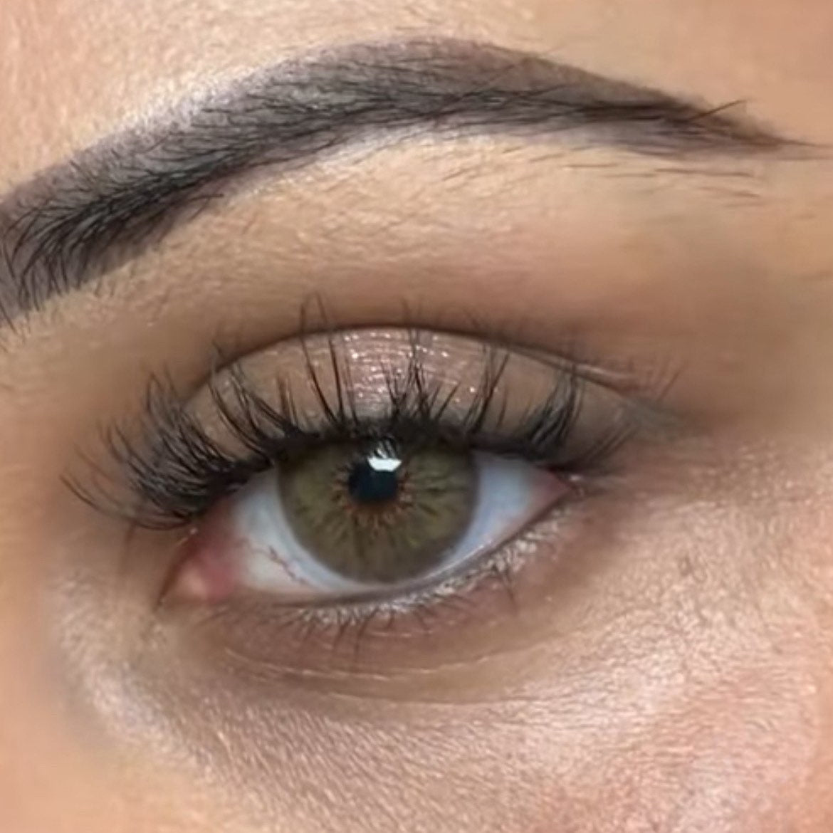 Breeze Hazel pupila reduzida anual (caixa com 2 unidades)