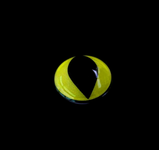 Lentes de contato Cosplay Crazy Yellow Cat