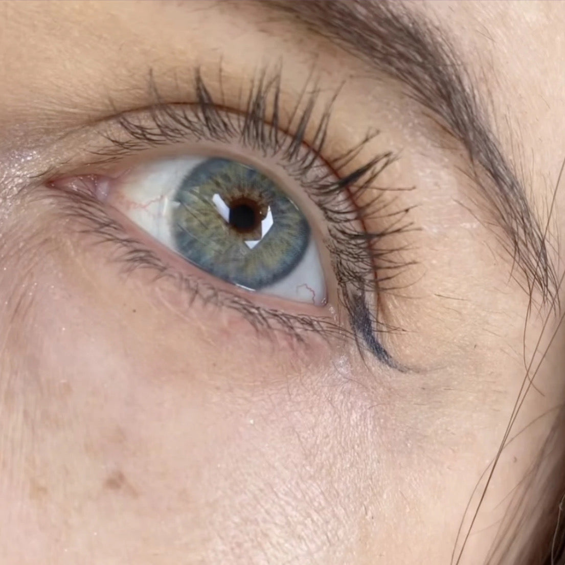 Breeze Light Blue pupila reduzida anual (caixa com 2 unidades)